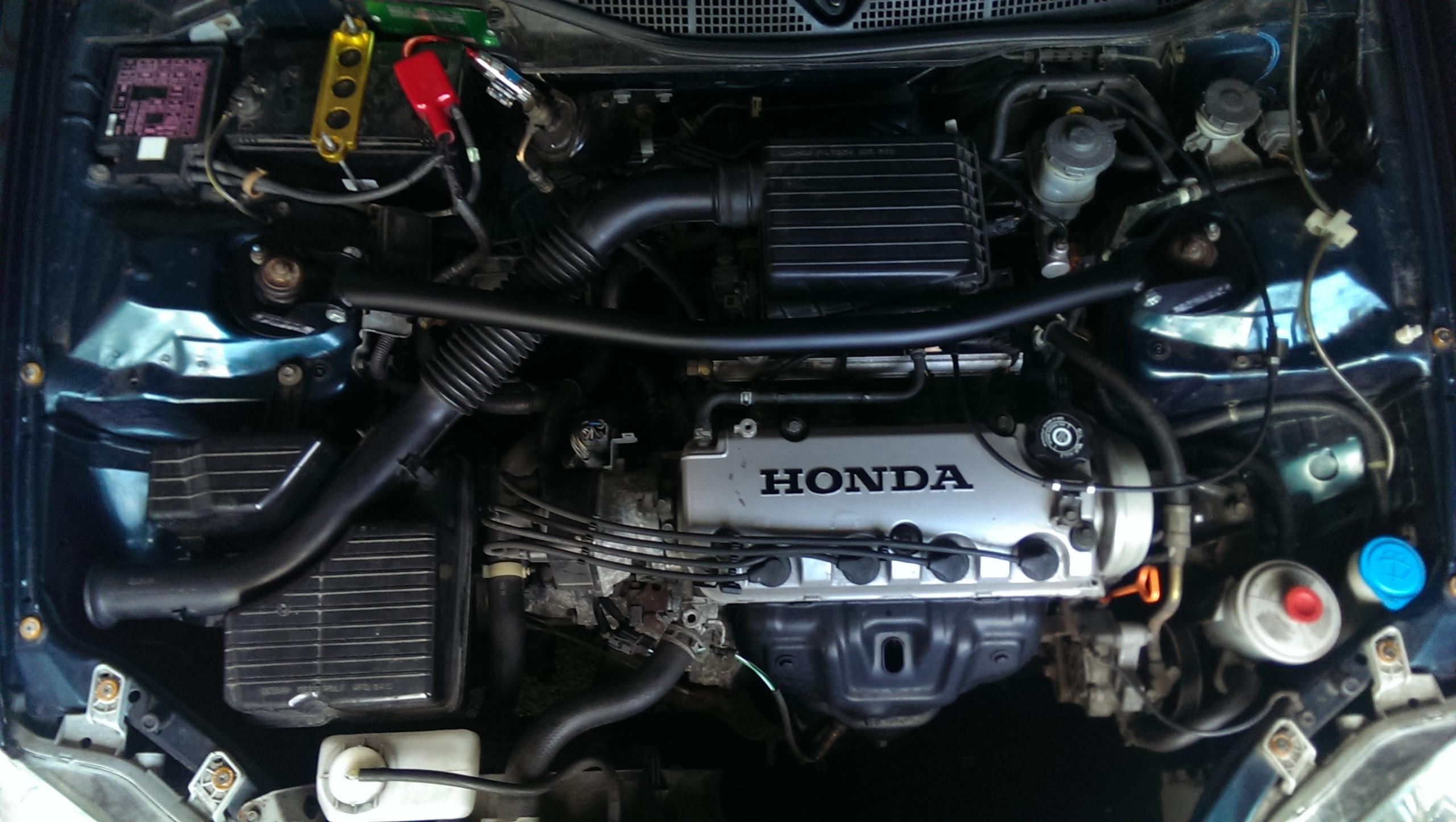 IMAG1104.jpg