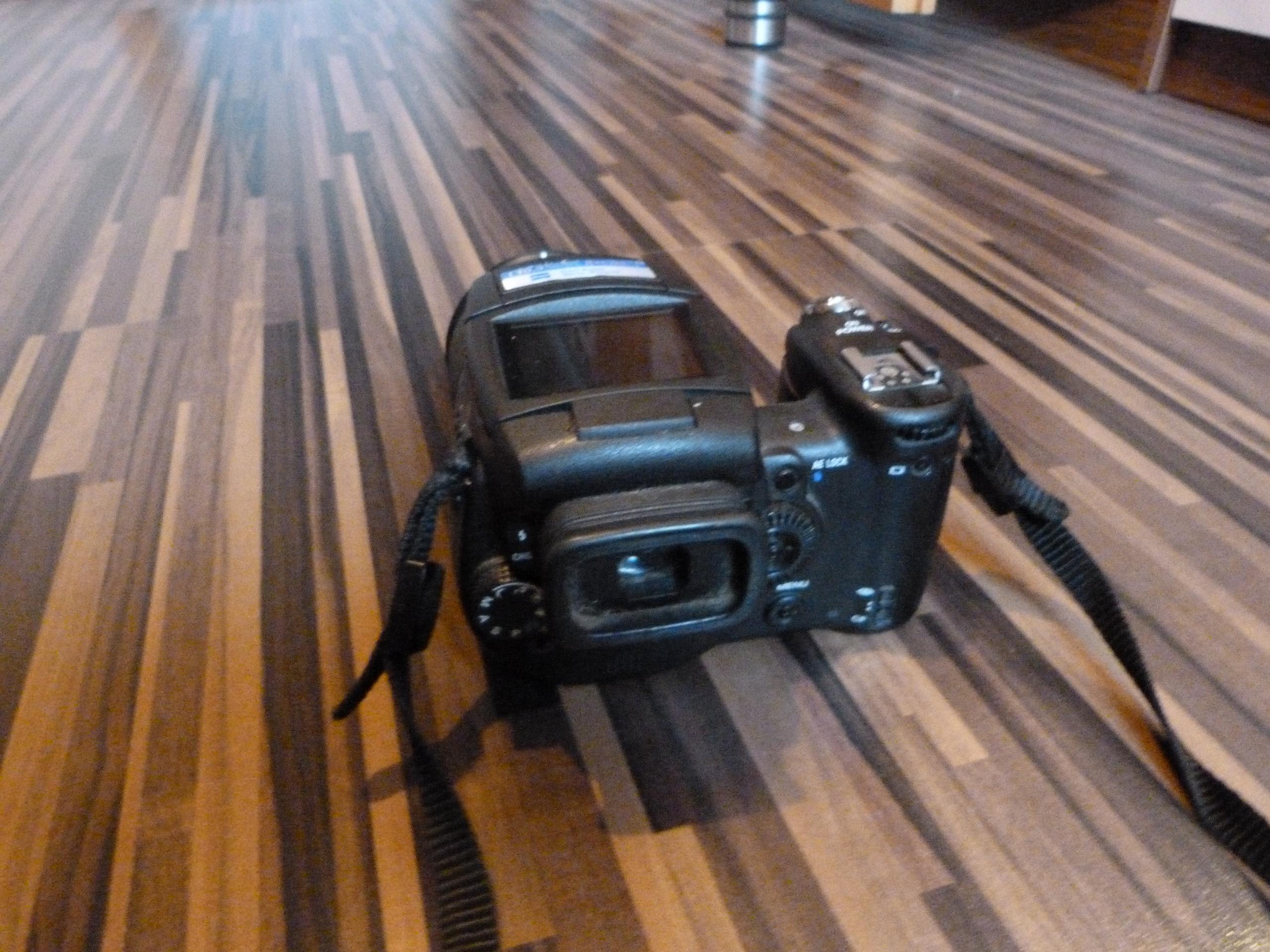 P1070855.JPG
