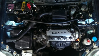 IMAG1104.jpg