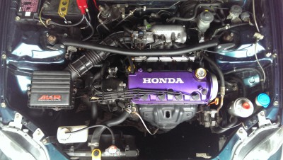 IMAG1409.jpg