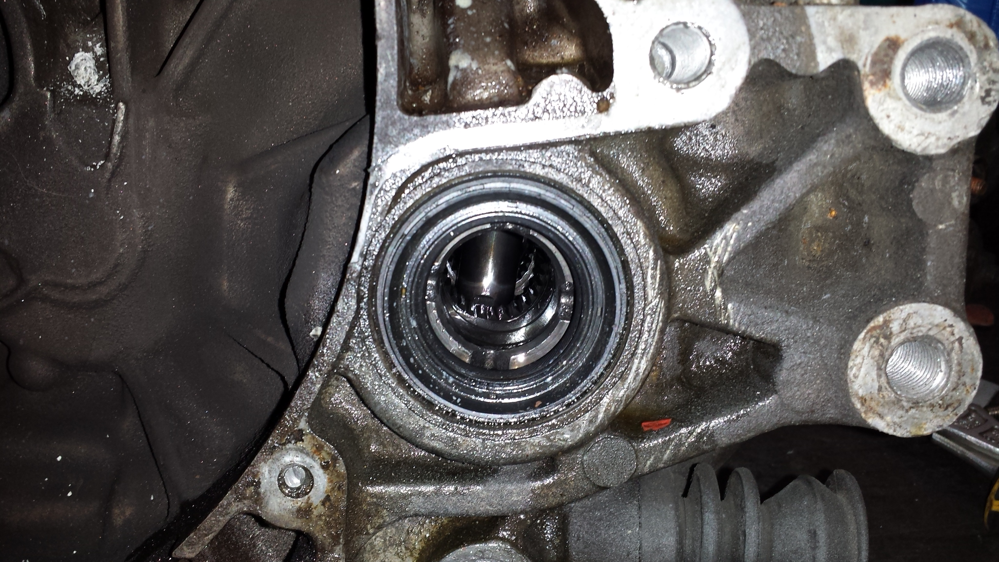 20150119_150541.jpg