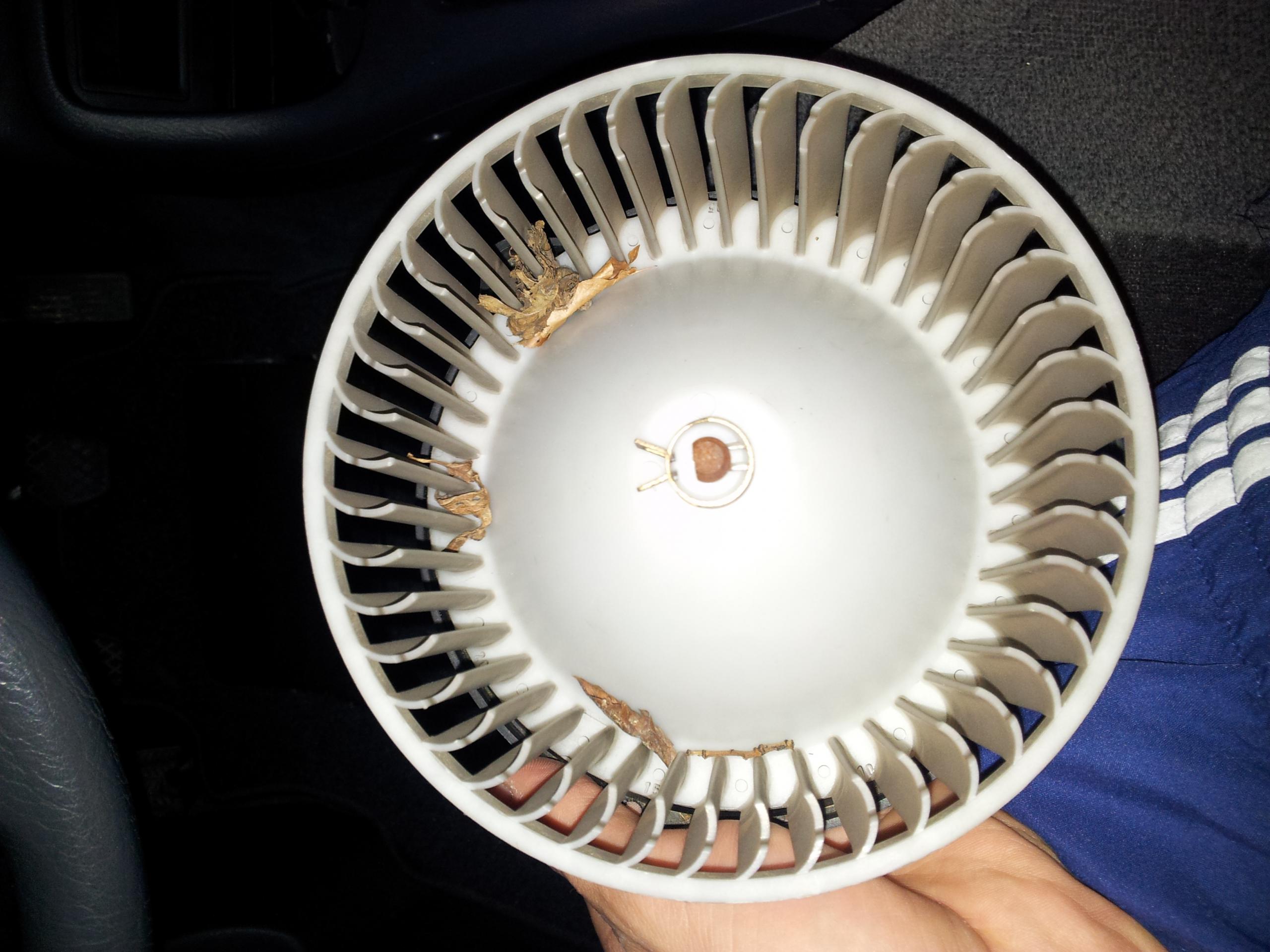 Gebläse sauber gemacht.jpg