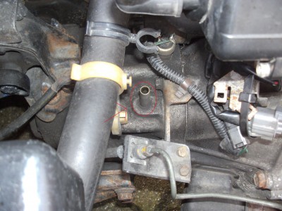 PICT1283.JPG
