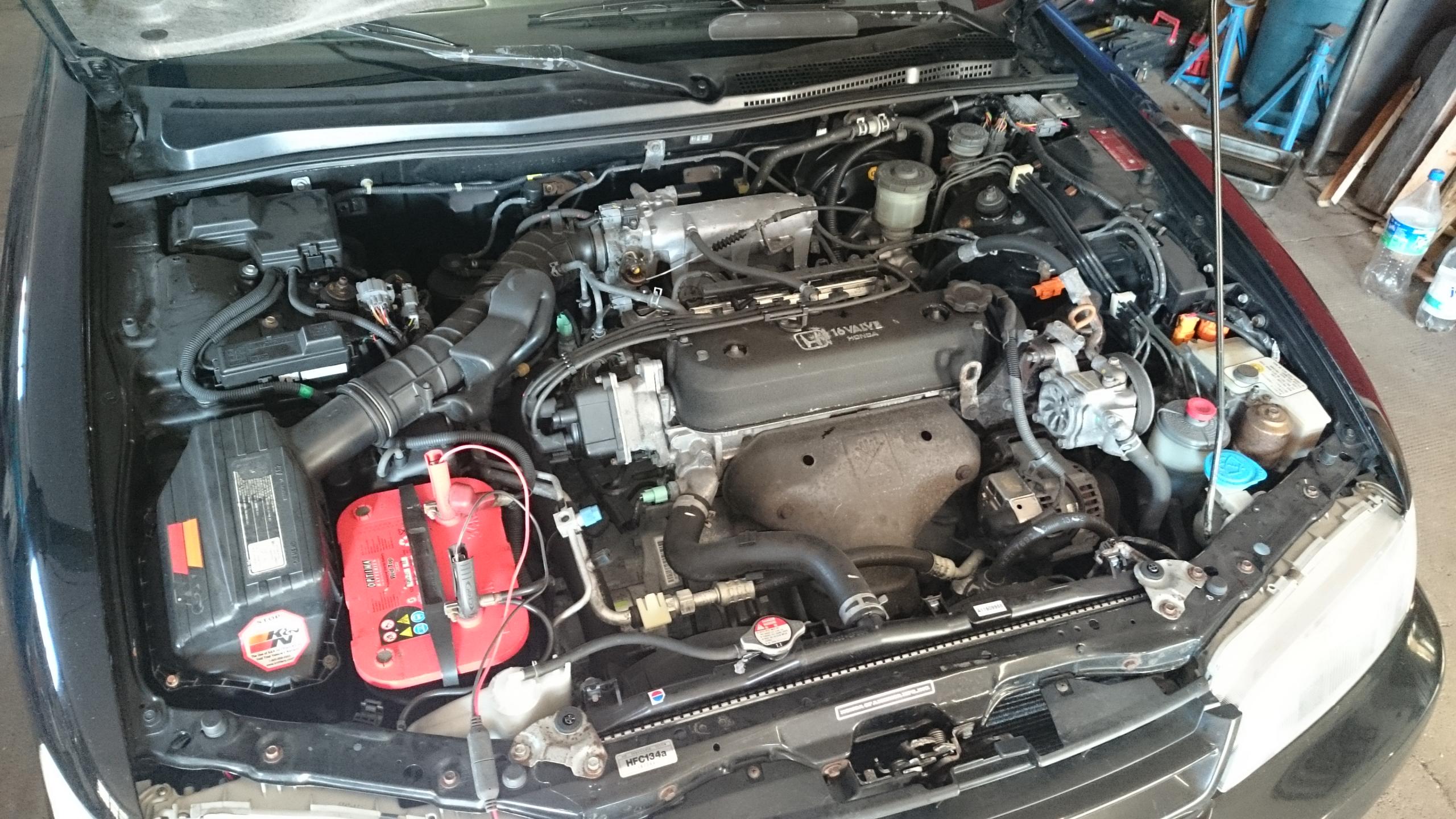 DSC_0988[1].JPG