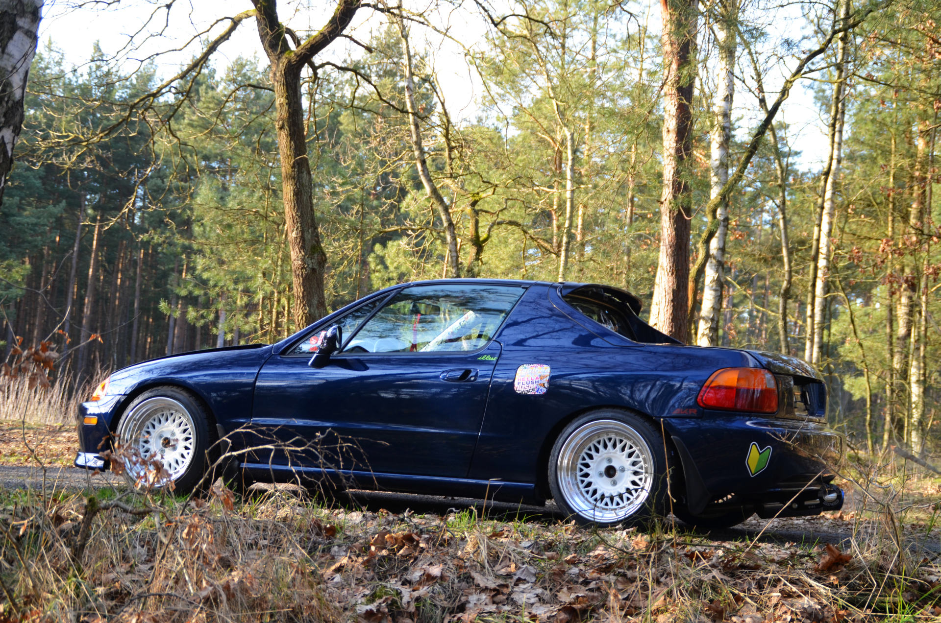 DSC_1346.jpg