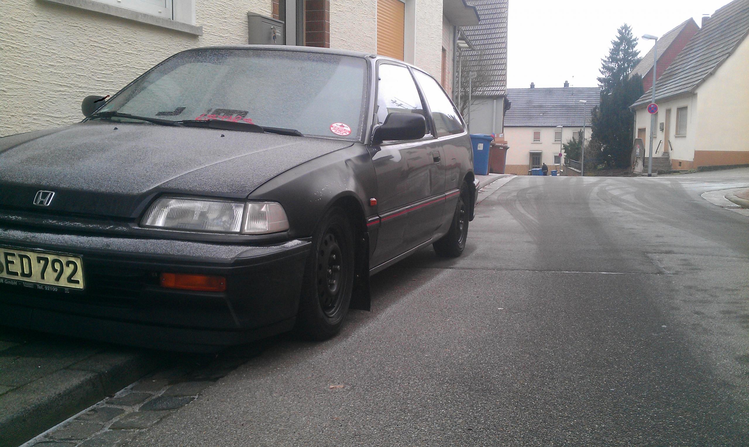 IMAG0381.jpg