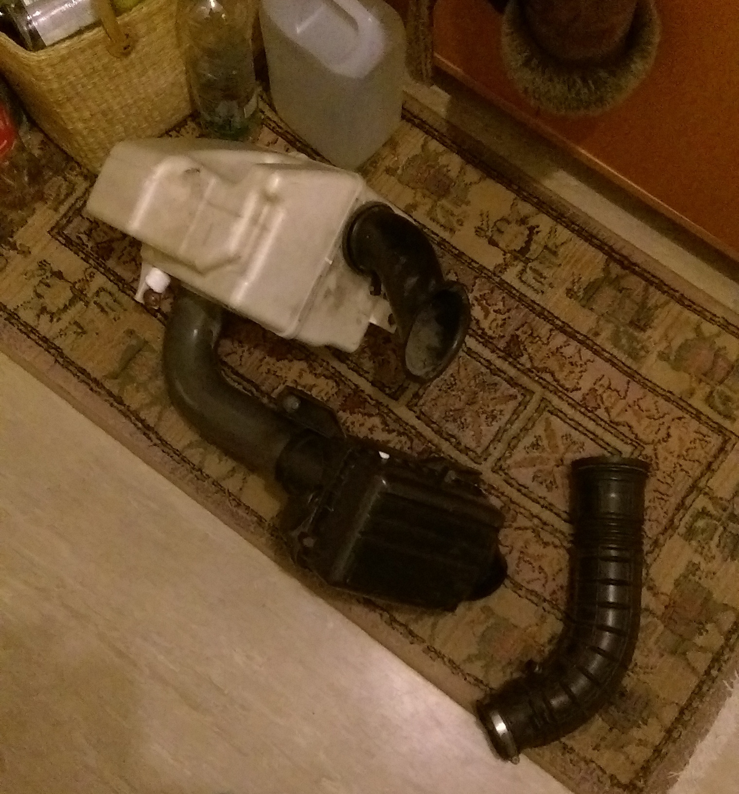 IMAG0461.jpg