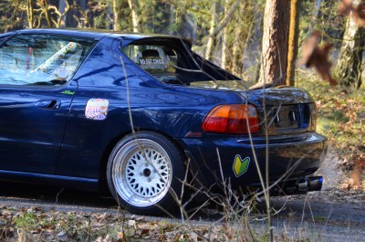 DSC_1351.jpg