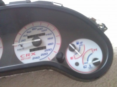 IMAG0998.jpg