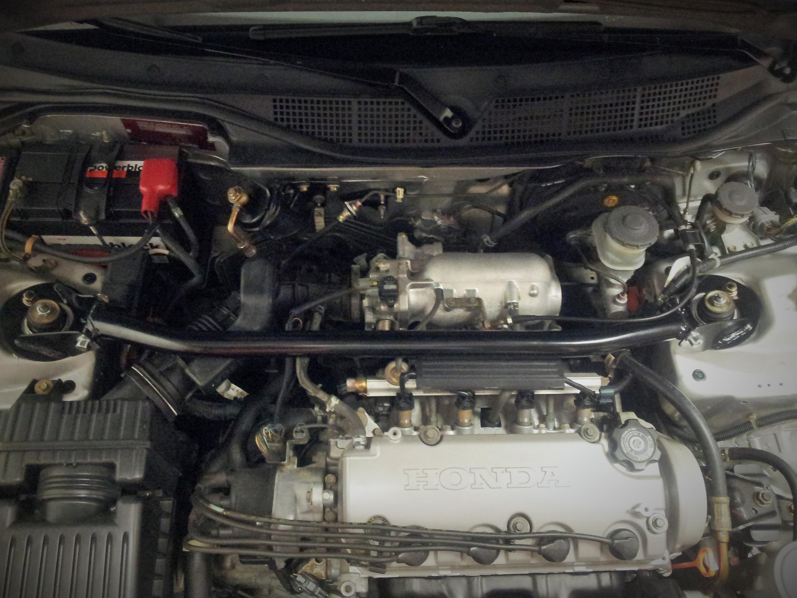 Wiechers Domstrebe vorne.jpg