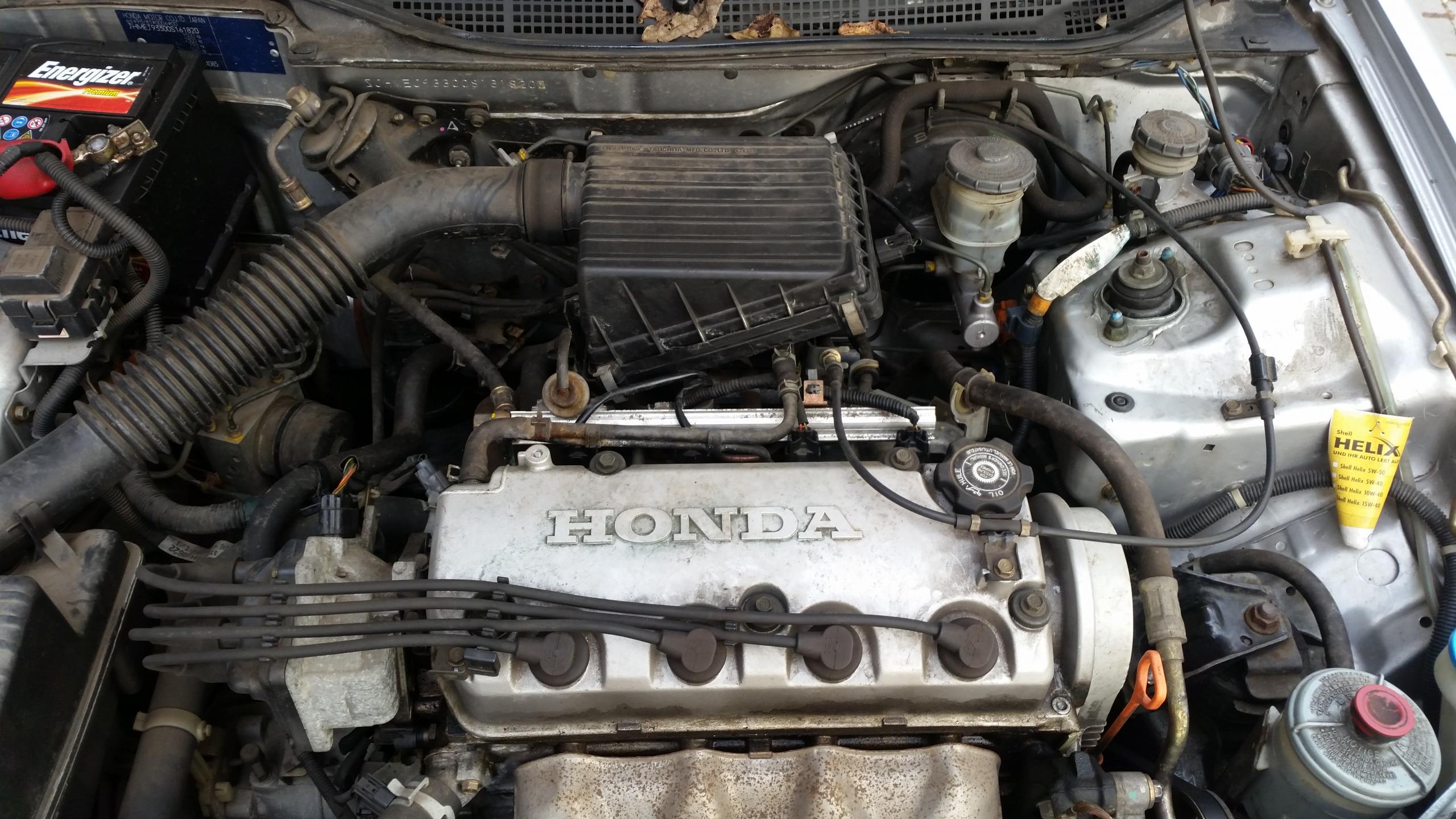 20150330_163132.jpg