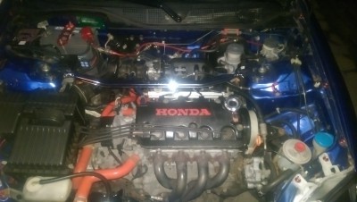 IMAG0684.jpg