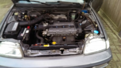 IMAG0784.jpg