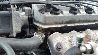 20150406_171650.jpg