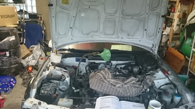 DSC_0412.JPG