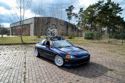 DSC_2339.JPG