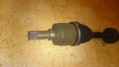 DSC_5418.JPG