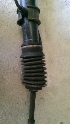 IMAG0290.jpg