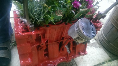 IMAG0301.jpg