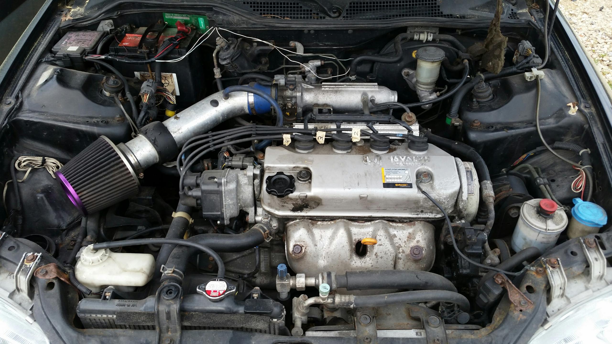 2015-05-05 09.23.11.jpg