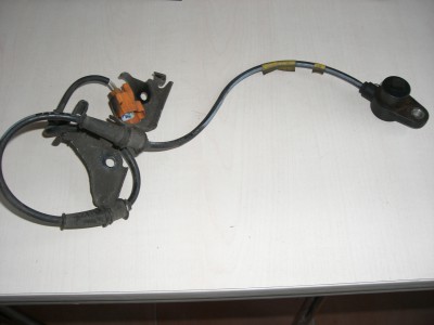 CIMG3555.JPG