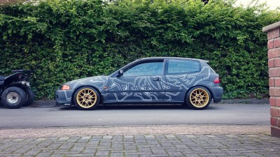 DSC_0501.JPG