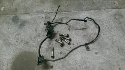 IMAG0651.jpg