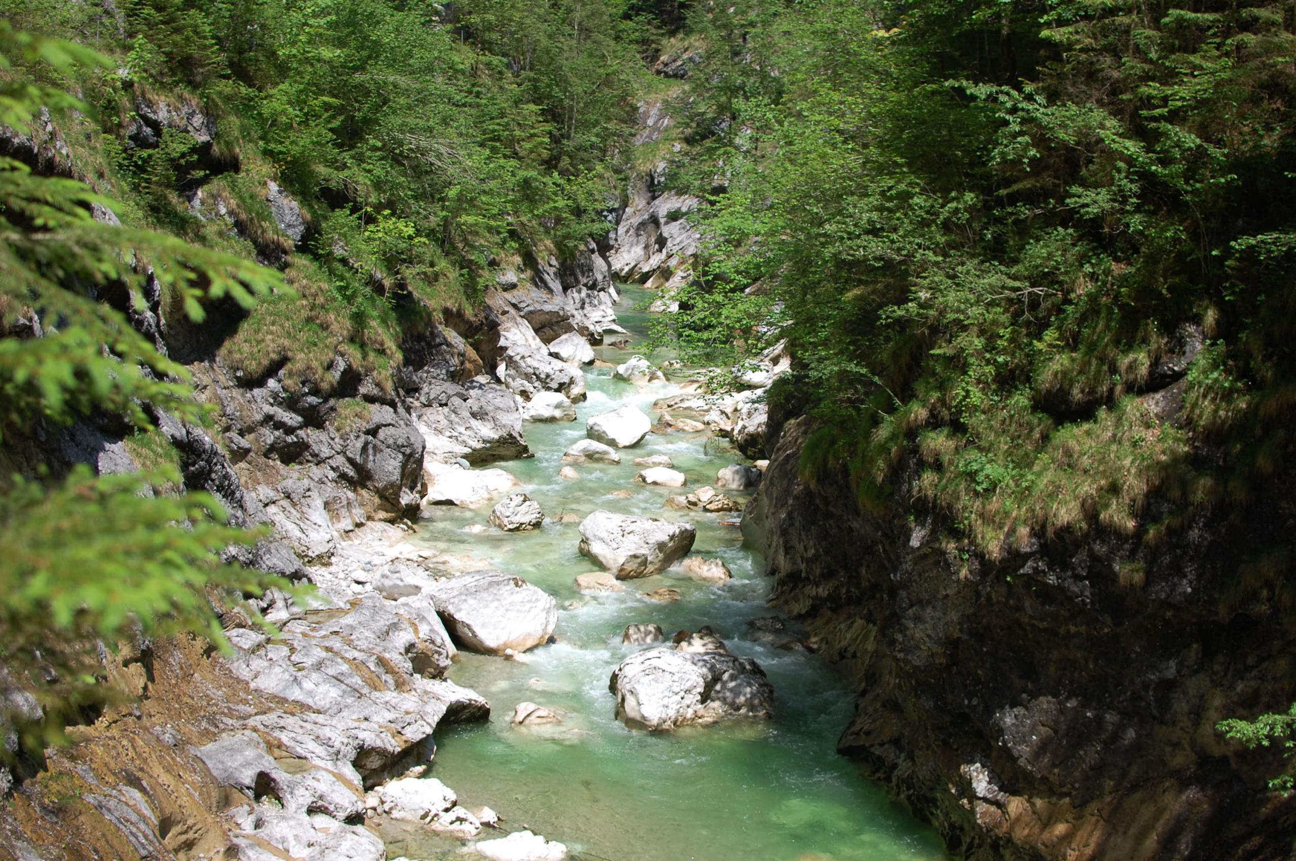 DSC_0954.JPG