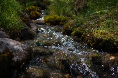 DSC_0974.JPG