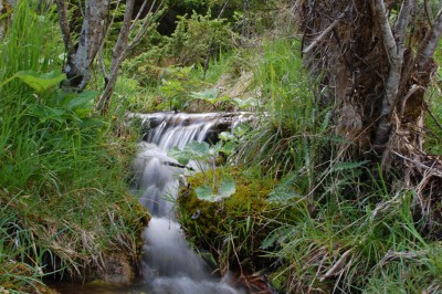 DSC_1000.JPG