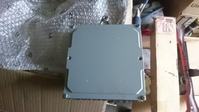 DSC_1113.JPG