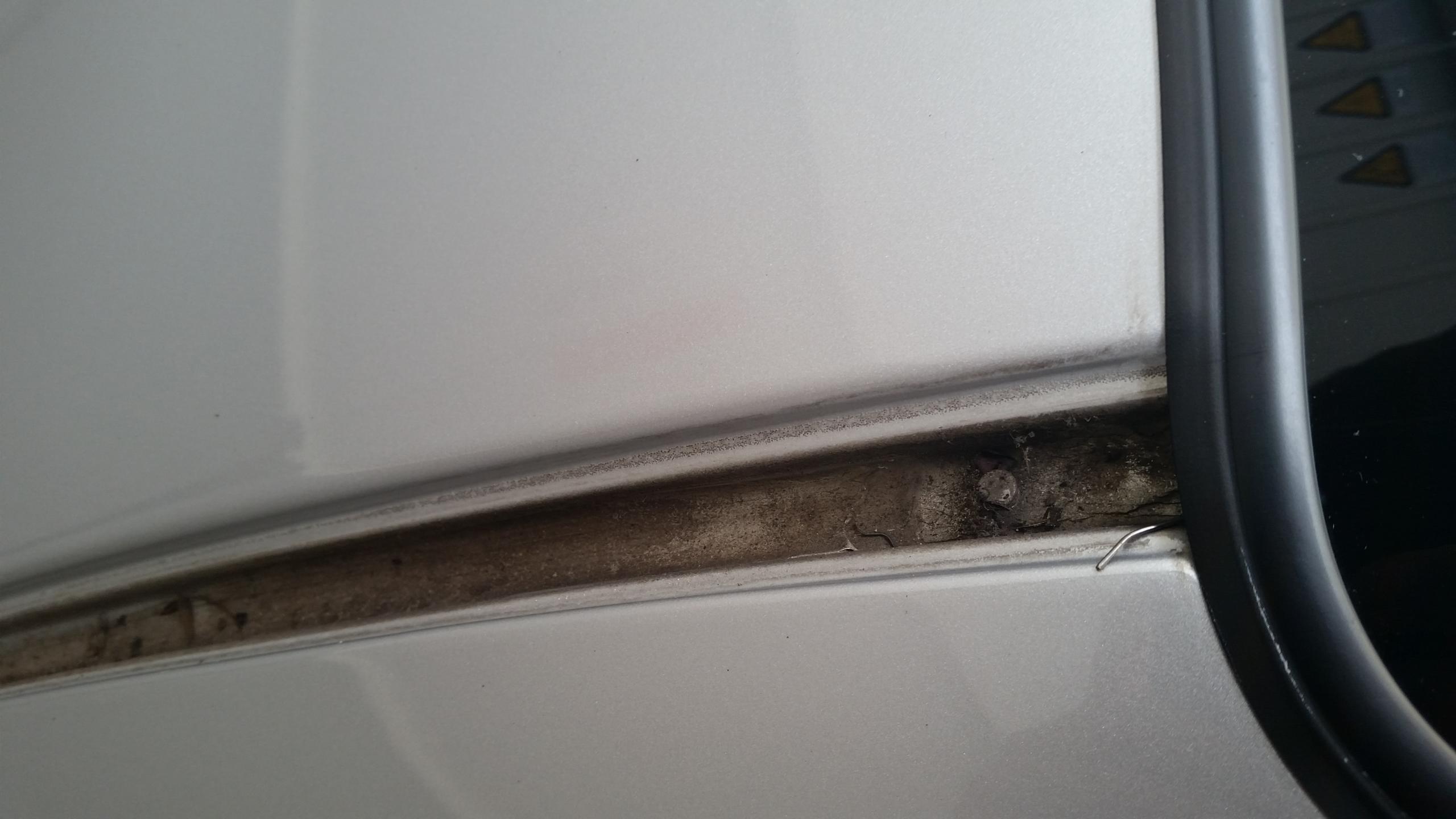 20150718_132959.jpg