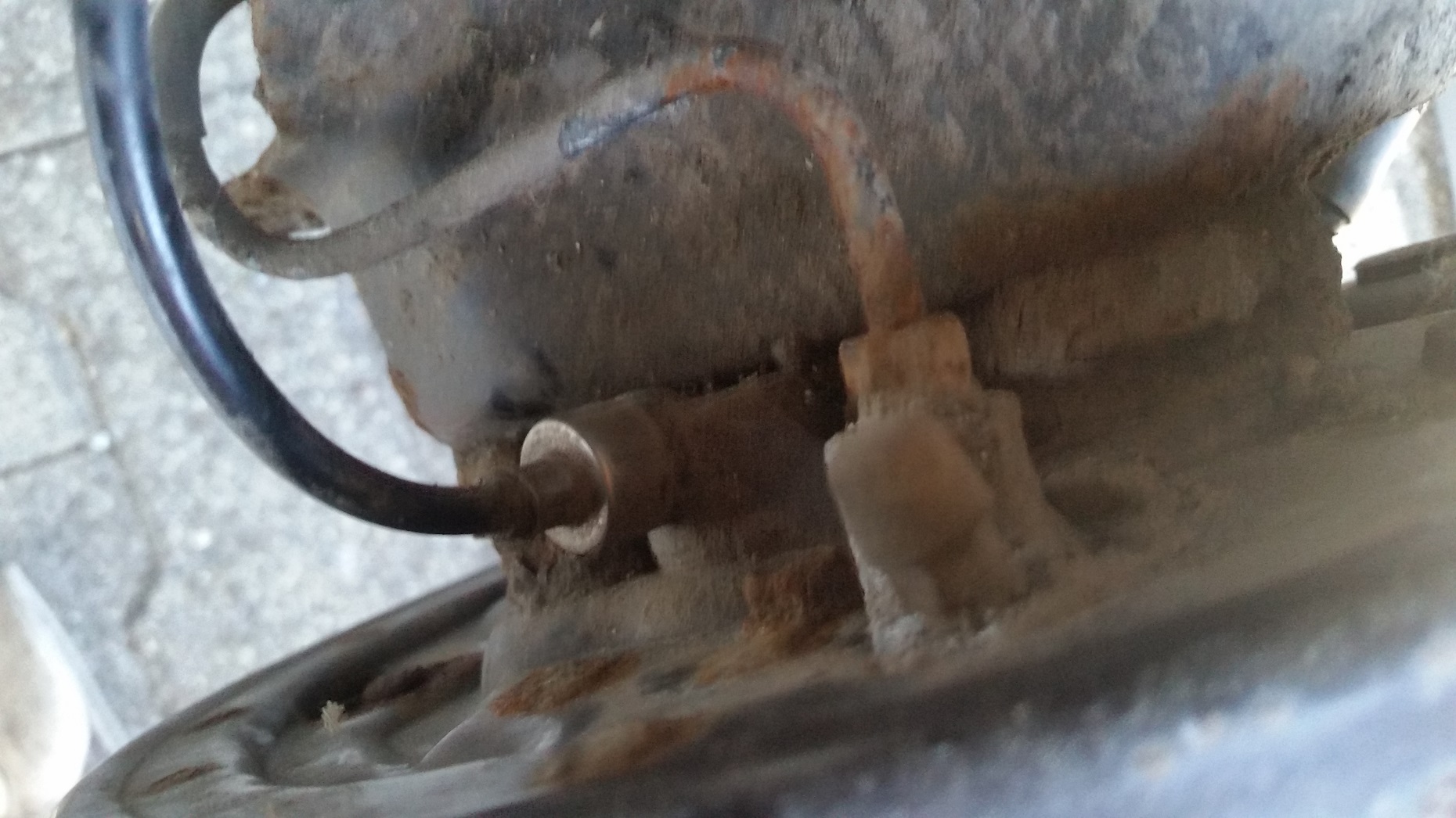 20150724_145742.jpg