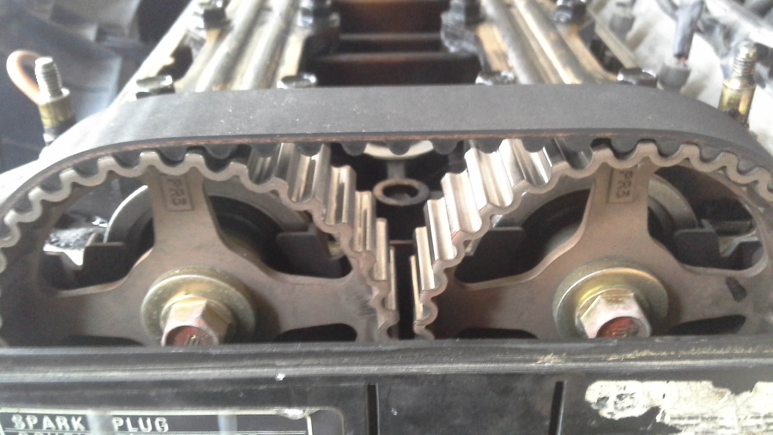 20150727_163449.jpg