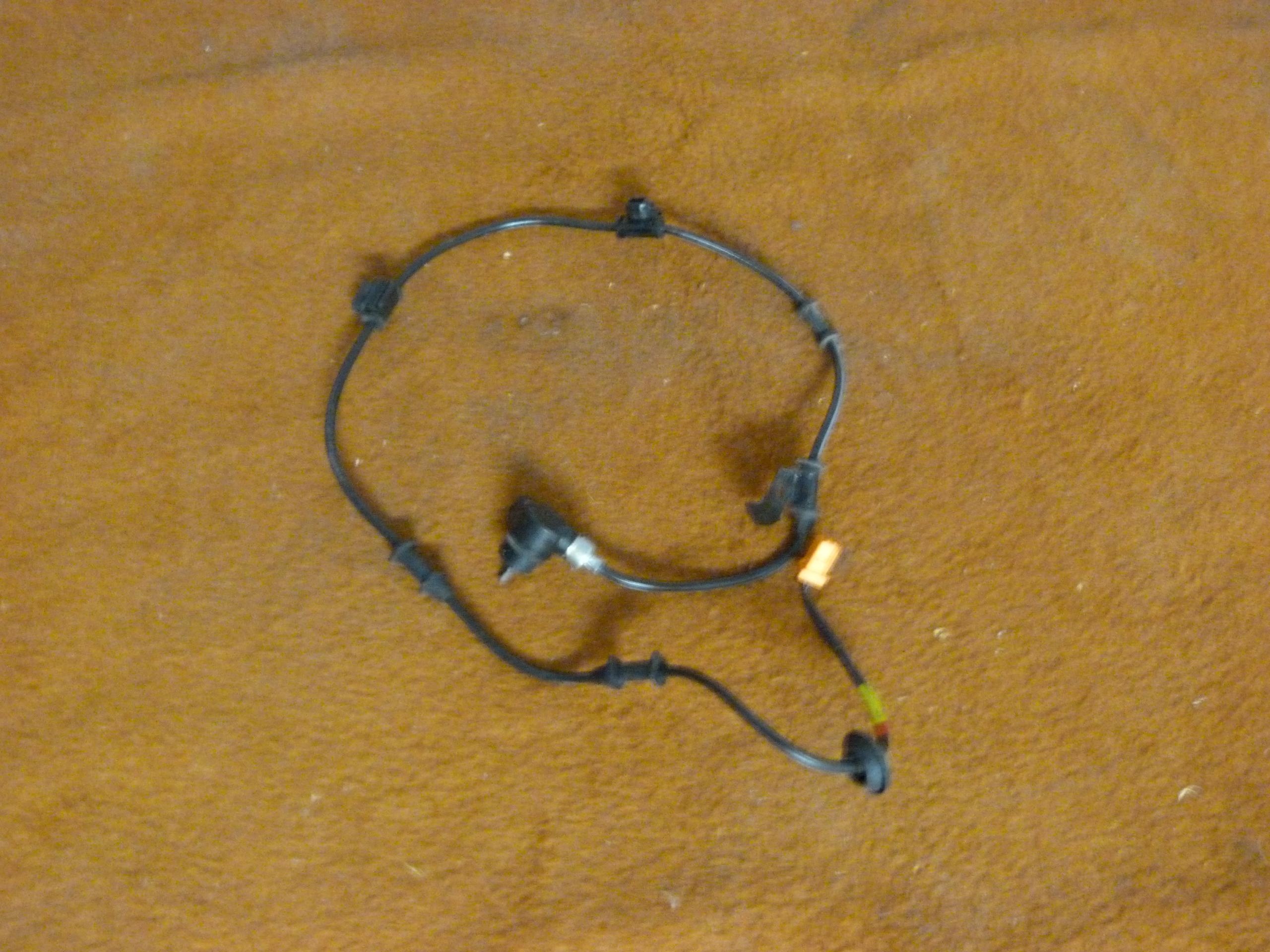 P1090136.JPG