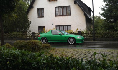 IMAG0205.jpg