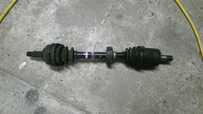 IMAG0811.jpg