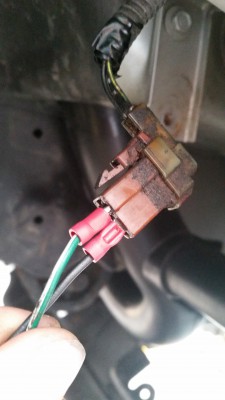 20150810_112827.jpg