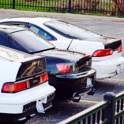 hondabacks.jpg