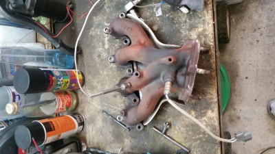 20150529_150219.jpg