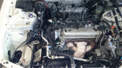 DSC_1500[1].JPG