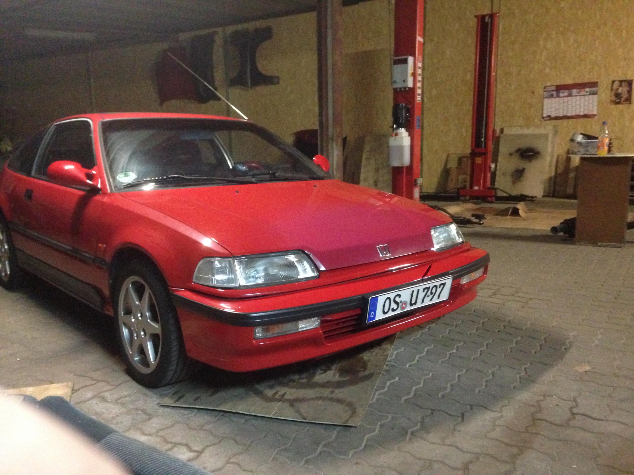 Kauf 3 (2).JPG