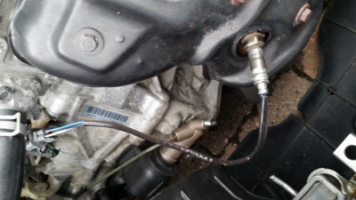 neue OEM 4p Lambda.jpg