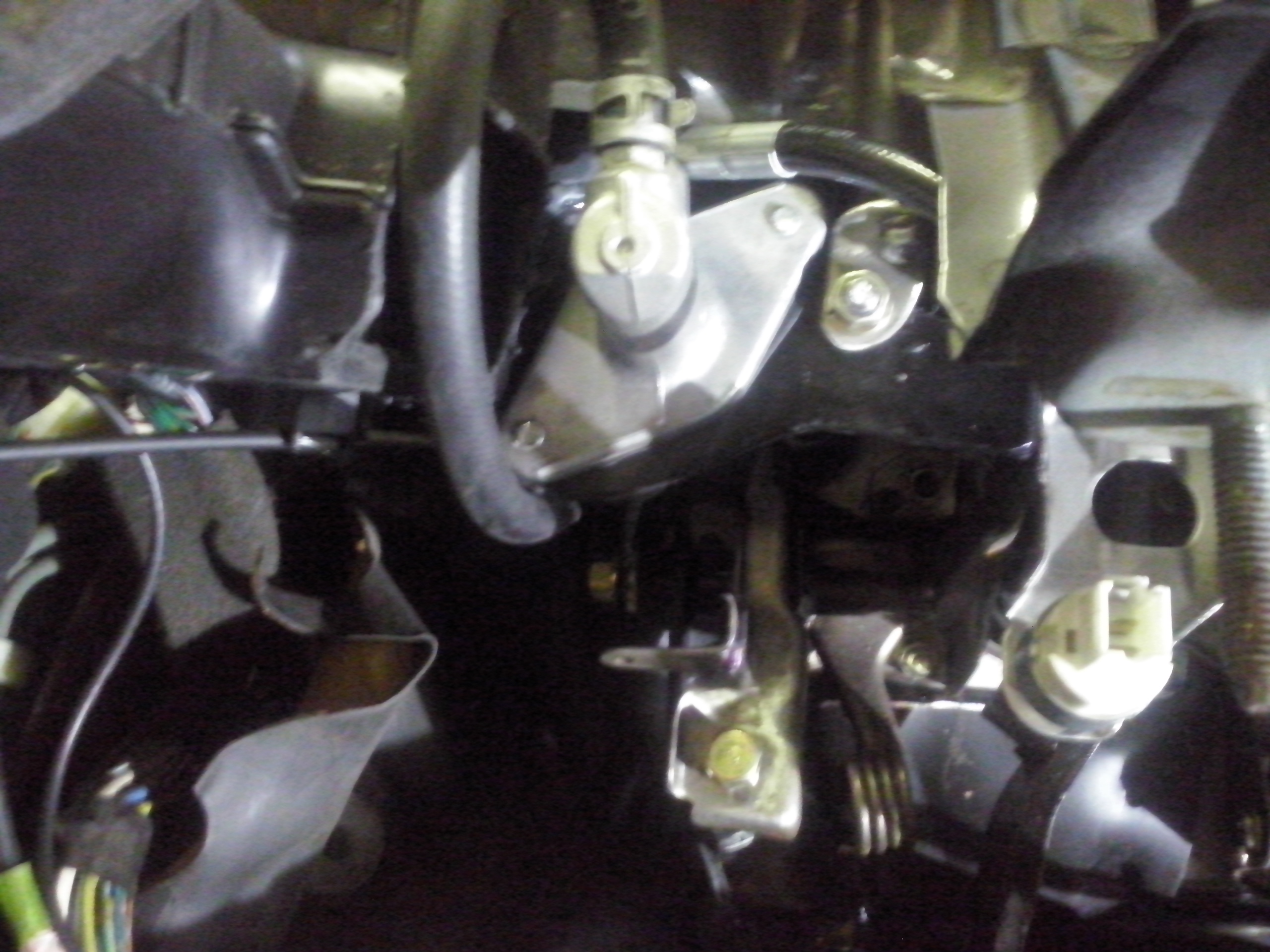 CAM00900.jpg