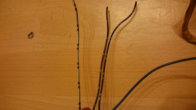 DSC_0093.JPG
