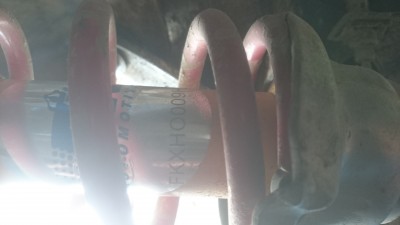 DSC_1744.JPG