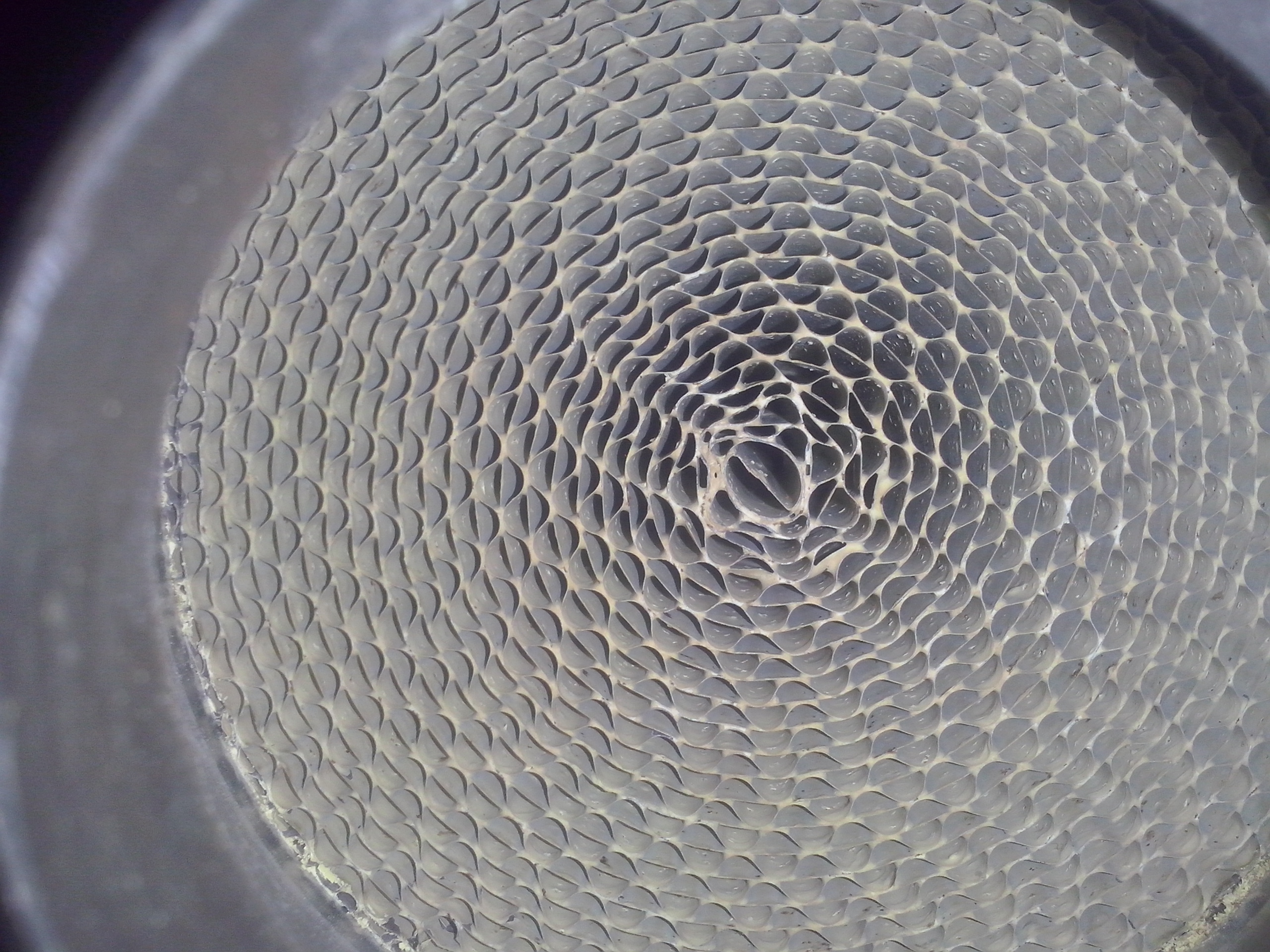 CAM00960.jpg