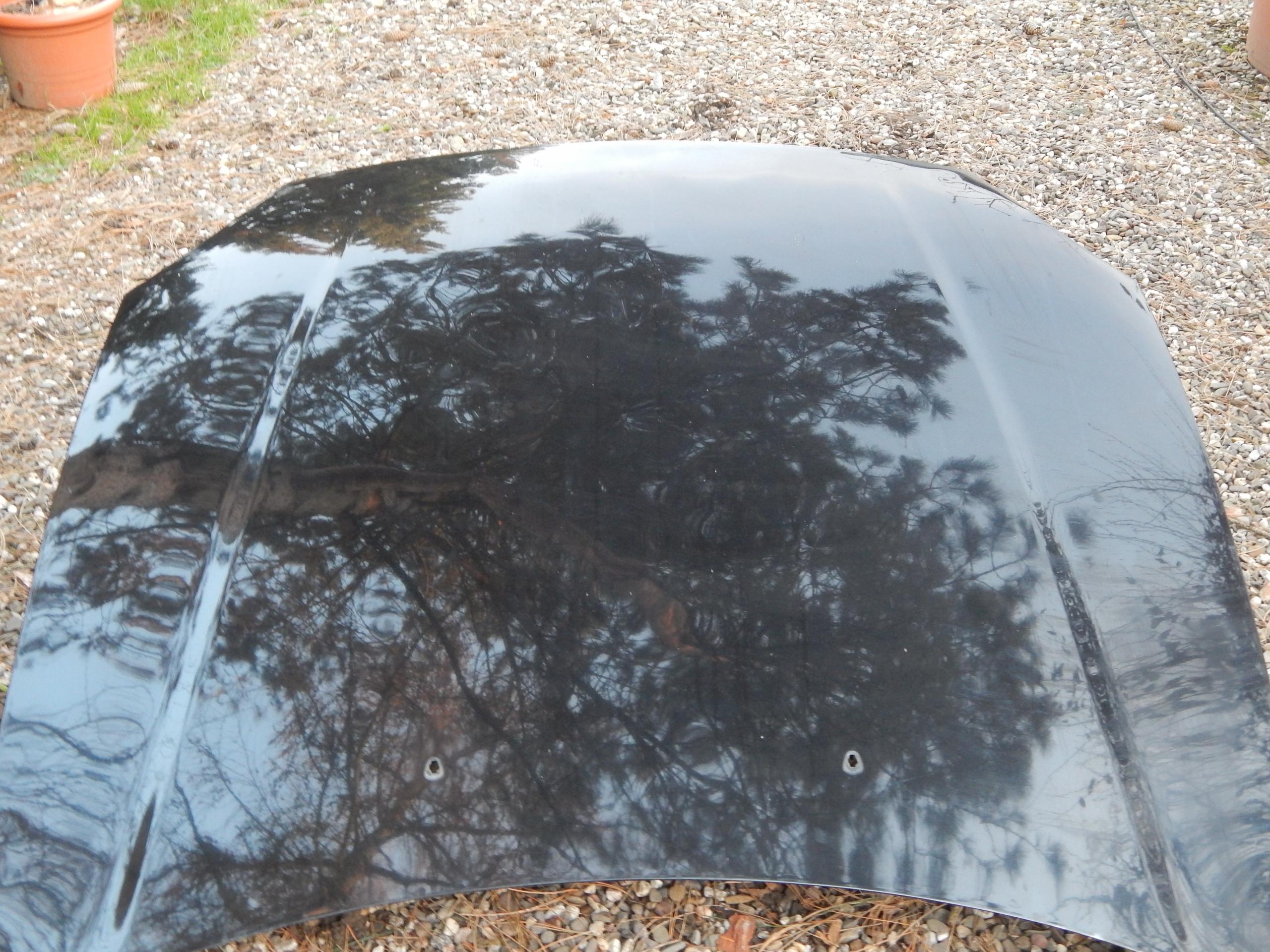 DSCN4458.JPG