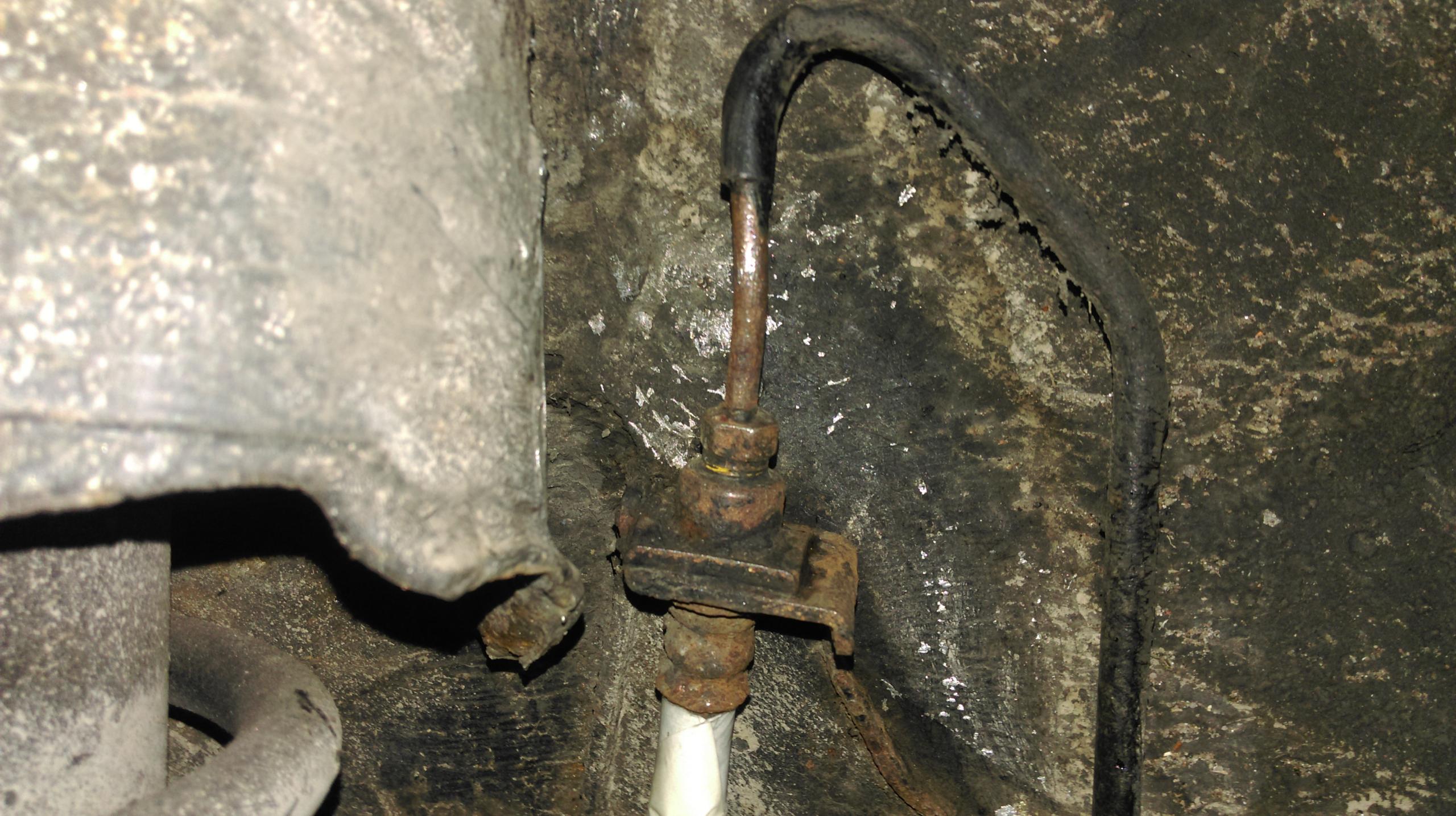 IMAG0166.jpg