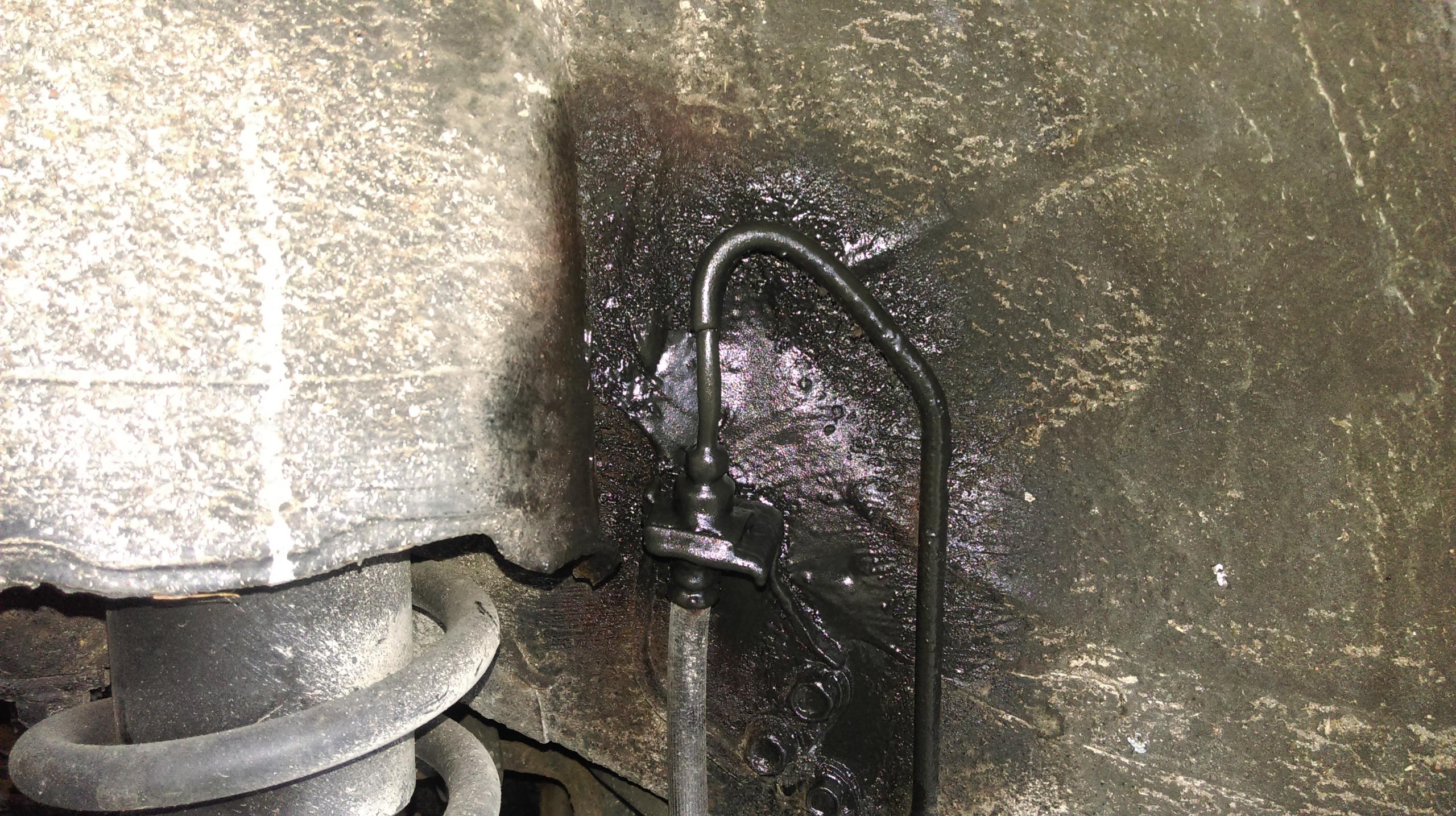 IMAG0171.jpg